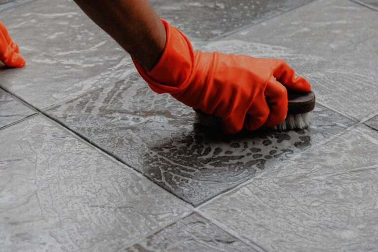 Mould Removal Perth: Safe, Professional Solutions That Work