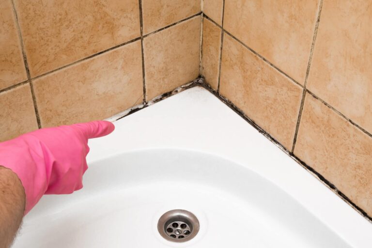 Mould Removal Perth: Professional vs DIY – Which Works Best?